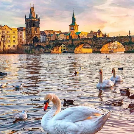 Antonín Dvořák žitná 14 Apartamento